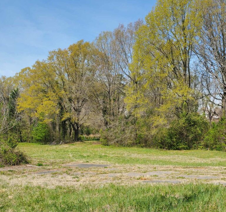 Land in Kings Mountain NC